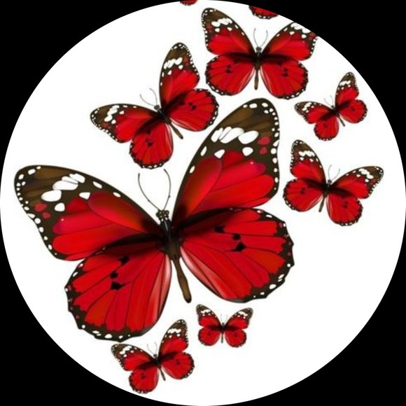 redbutterfly_